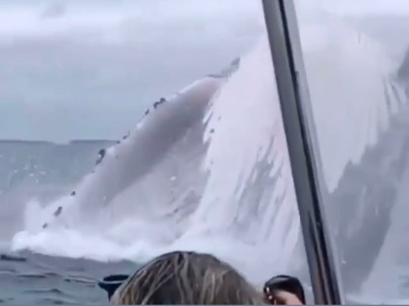 breach.jpg