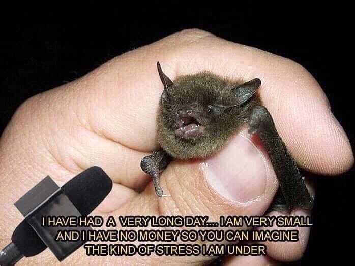 cbd.jpg