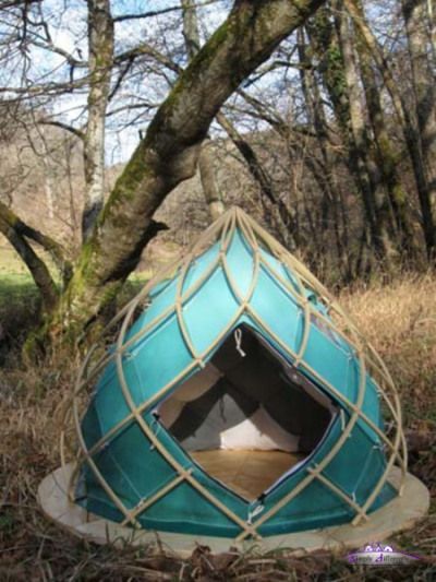 helix-zome.jpg