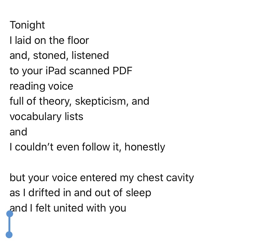 ipad-scanned-pdf-reading-voice.jpeg